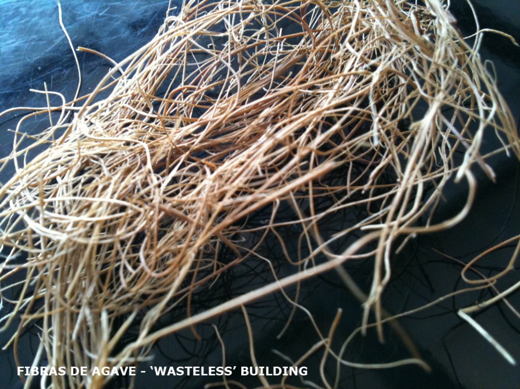 Agava fibers